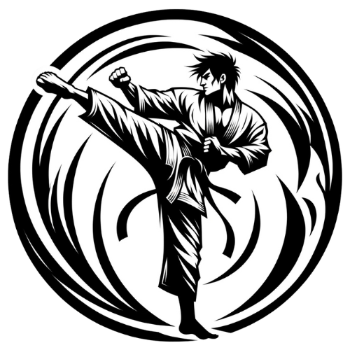 camiseta karate